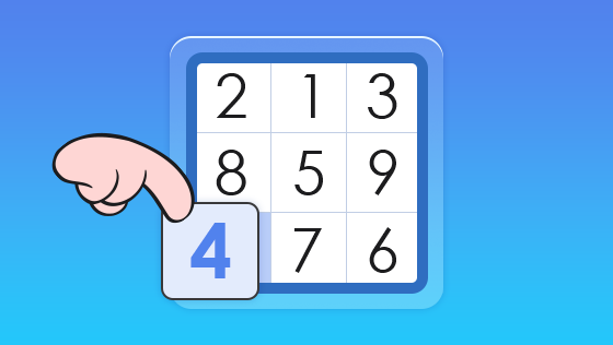sudoku entry